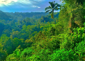 Bali Pulina Agro Tourism