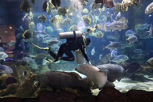 河内时代之城水族馆