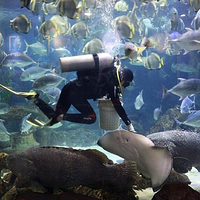 河内时代之城水族馆