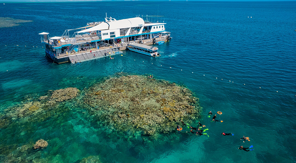 梦幻丽礁号大堡礁游轮