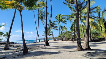 Pu'uhonua O Honaunau National Historical Park