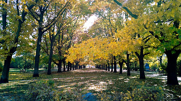 华沙森绿波兰公园