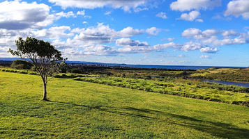 Killalea Regional Park