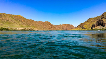 Tamgaly Tas petroglyphen