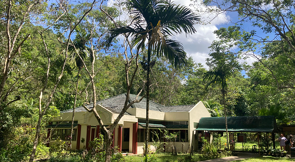 菲律宾眼镜猴及野生动物保护区