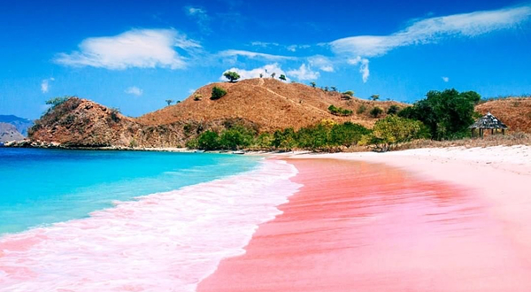 粉红沙滩