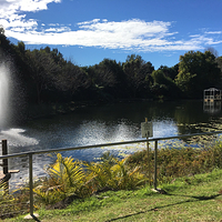 天宝林国家公园萤火虫洞