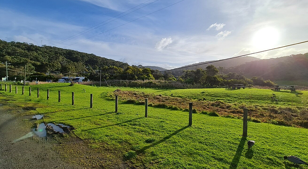 坎尼特河沿岸考拉步行道