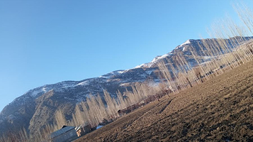 Yangi Novqat bosh masjidi