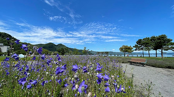 洞爷湖喷水广场