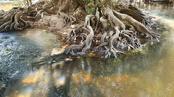 Tad Moun 2 Waterfalls