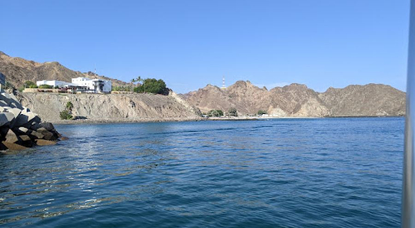 Oman - Muscat Dolphin Watching & Snorkeling