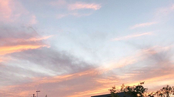 额济纳旗生态广场