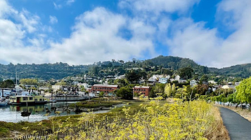 Sea Lion Sculpture by Al Sybrian