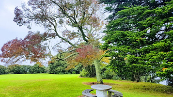 Tiraumea Drive Reserve