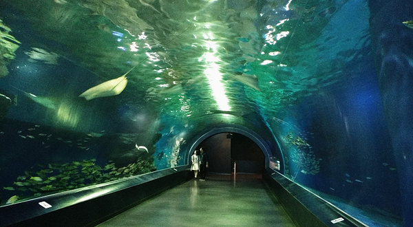 品川水族馆