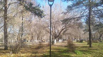 Afghan War Warriors' Park