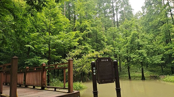 新昌大佛寺景区-湿地公园