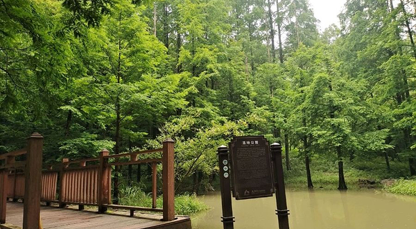 新昌大佛寺景区-湿地公园