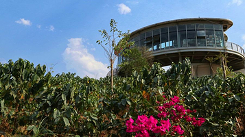 粒述·咖啡庄园-观景台