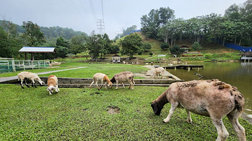 武吉日落洞生态社区公园