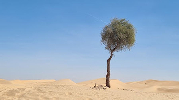 Al khatim desert