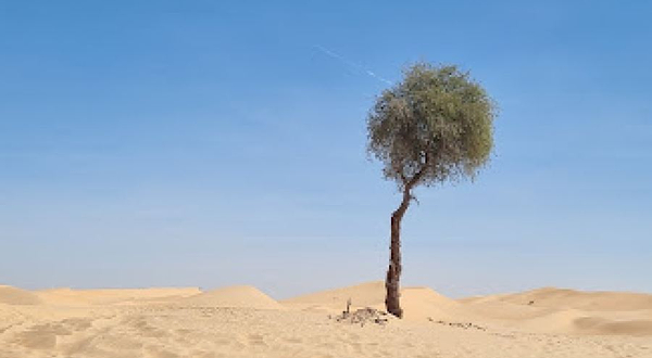 Al khatim desert