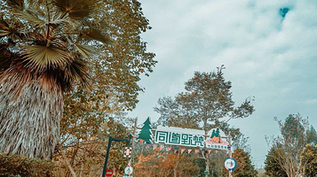 天府新区同道野梵七彩田园营地