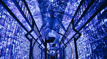 Museo delle Illusioni Roma