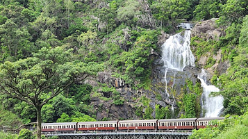 Barron Falls Rainforest Canopy Walk and Lookout