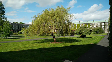 Maynooth University Museum