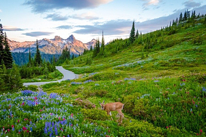 Henry M. Jackson Memorial Visitor Center