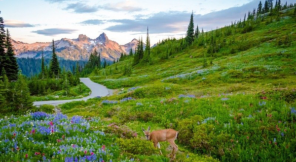 Henry M. Jackson Memorial Visitor Center