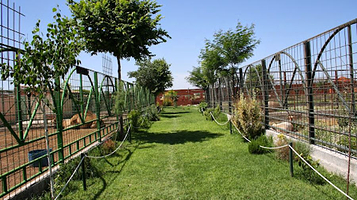 KOKI ZOO (Zoo and botanical)