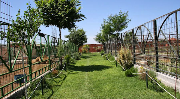 KOKI ZOO (Zoo and botanical)