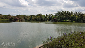 曼谷之肺森林公园和植物园