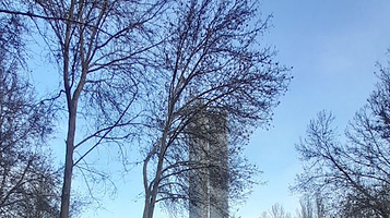 Stella of Friendship of Nation