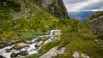 福尔格国家公园