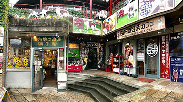 由布院豆柴カフェ