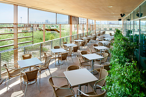 拉斯维加斯泉水保护区