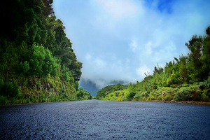 马德拉月桂树公园