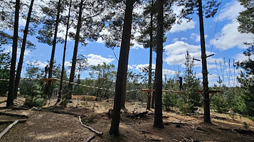 Treetops Adventure Canberra