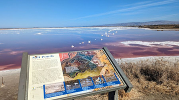 Alviso Marina County Park
