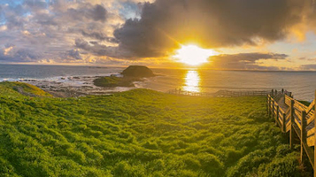 The Nobbies View Point