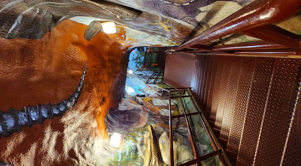 World's Largest Dinosaur