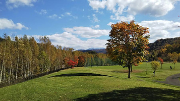 旭川市21世纪の森 ドッグラン