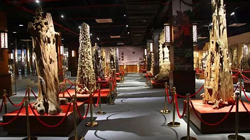 梅州市圣品沉香博物馆