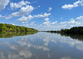 阿德莱德河巡游