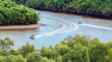 Khu dự trữ sinh quyển rừng ngập mặn Cần Giờ