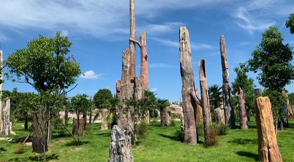 黄石华侨城恐龙奇域